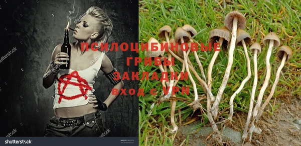 прущие крисы Медногорск