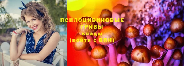 прущие крисы Медногорск