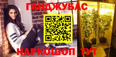 амф Заволжье